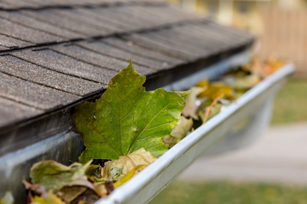 Cost of Gutter System Cleaning in Spotsylvania