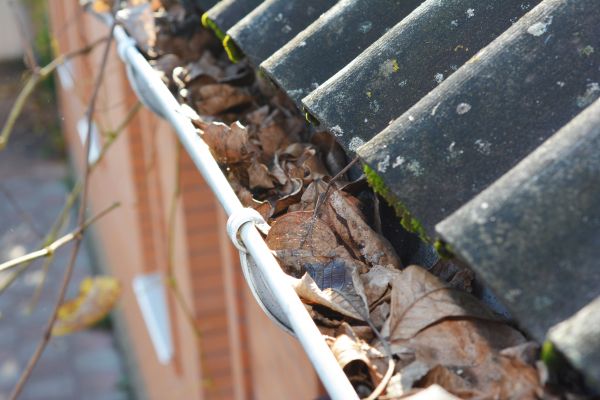 Cost of Home Gutter Cleaning in Spotsylvania
