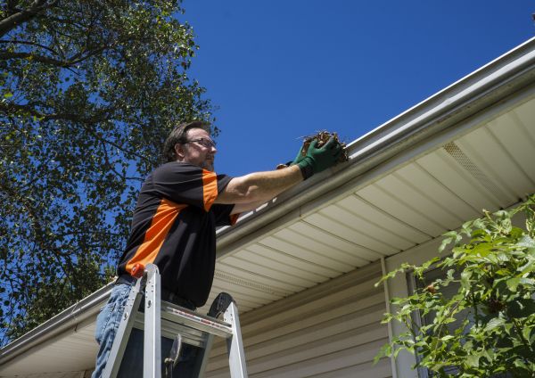 Cost of Eavestrough Clearing in Spotsylvania
