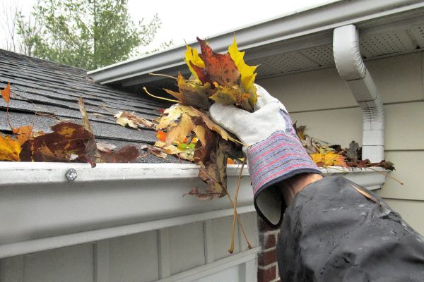 Cost of Gutter Blockage Removal in Spotsylvania