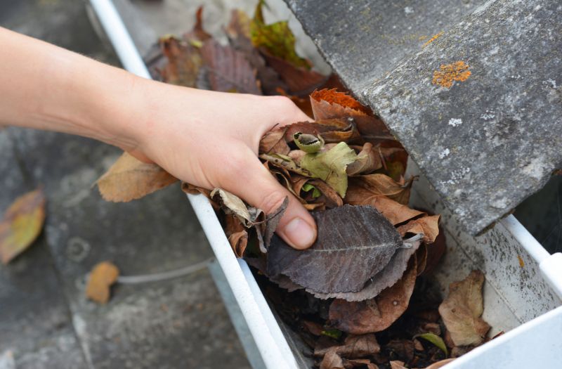 Gutter Leaves Removal detail