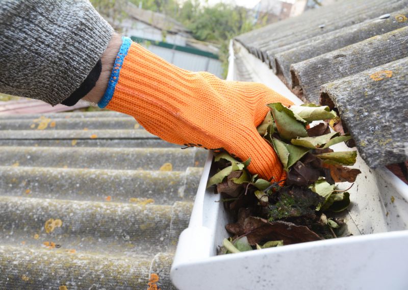 Cleaning Gutter with Leaf Blower